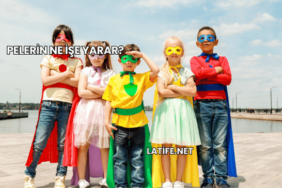 Pelerin Ne İşe Yarar?