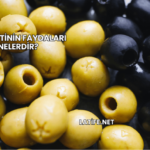 Acı Zeytinin Faydaları Nelerdir?