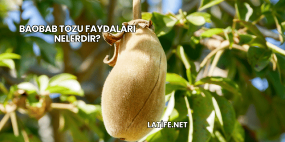 Baobab Tozu Faydaları Nelerdir?