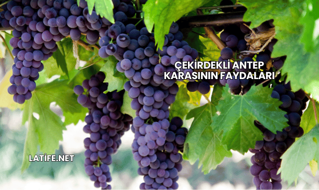 Çekirdekli Antep Karasının Faydaları