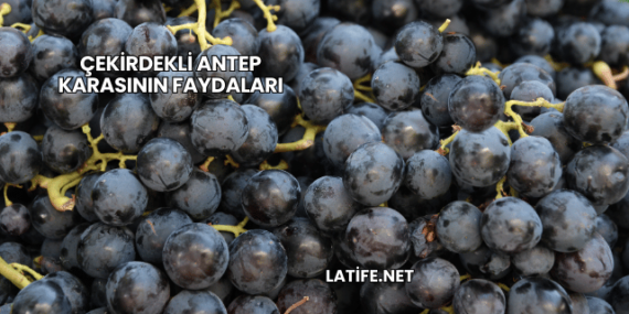 Çekirdekli Antep Karasının Faydaları