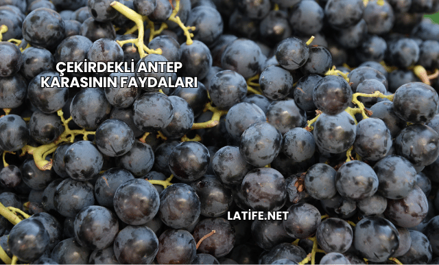 Çekirdekli Antep Karasının Faydaları