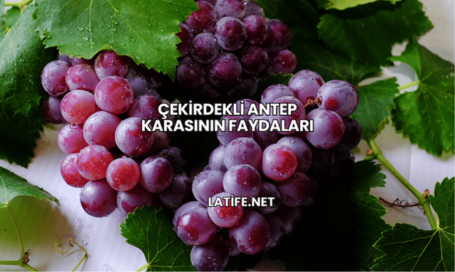 Çekirdekli Antep Karasının Faydaları