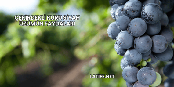 Çekirdekli Kuru Siyah Üzümün Faydaları
