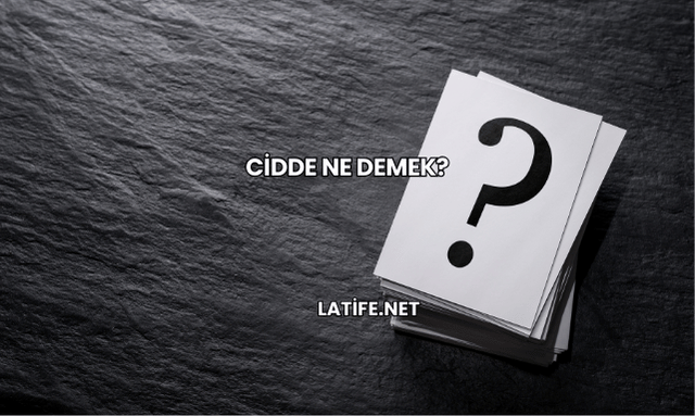Cidde Ne Demek?
