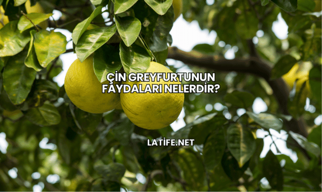 Çin Greyfurtunun Faydaları Nelerdir?