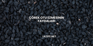 Çörek Otu Ezmesinin Faydaları