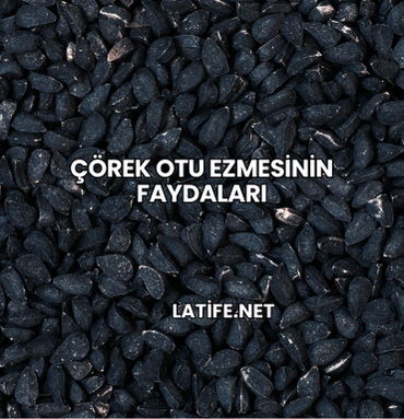 Çörek Otu Ezmesinin Faydaları
