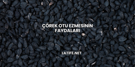 Çörek Otu Ezmesinin Faydaları