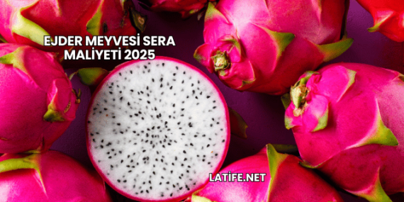 Ejder Meyvesi Sera Maliyeti 2025