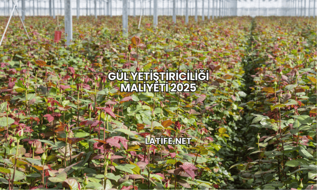 Gül Yetiştiriciliği Maliyeti 2025