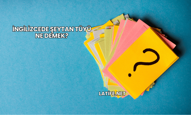 İngilizcede Şeytan Tüyü Ne Demek?