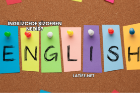 İngilizcede Şizofren Nedir?