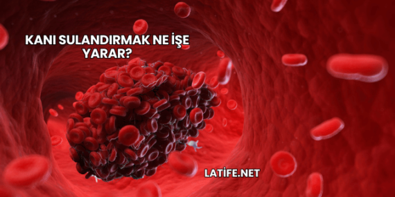 Kanı Sulandırmak Ne İşe Yarar?