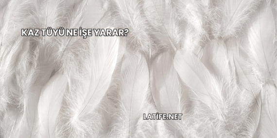 Kaz Tüyü Ne İşe Yarar?