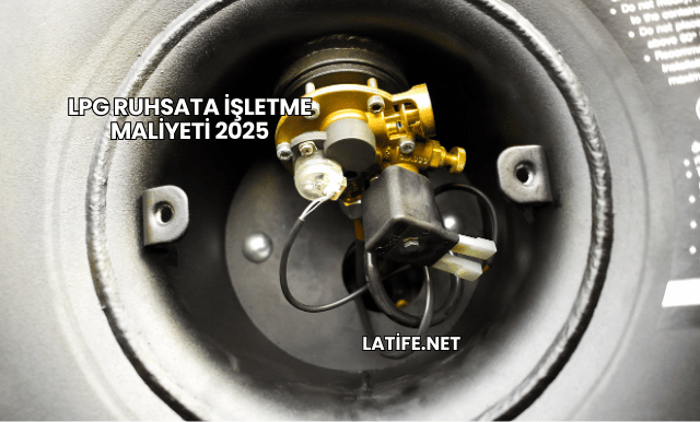 LPG Ruhsata İşletme Maliyeti 2025