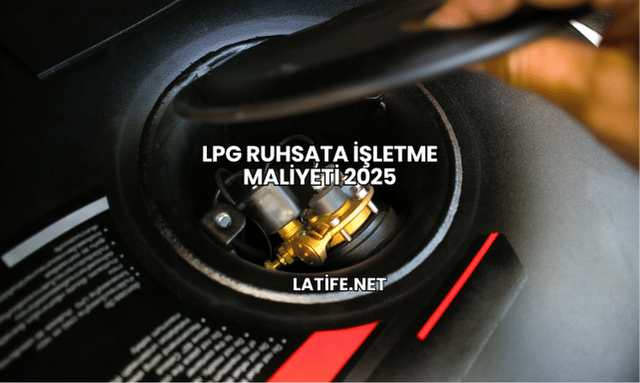 LPG Ruhsata İşletme Maliyeti 2025