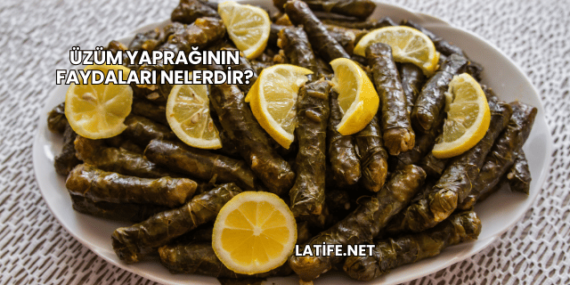 Üzüm Yaprağının Faydaları Nelerdir?