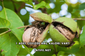 1 Adet Cevizde Kaç Kalori Var?