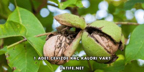 1 Adet Cevizde Kaç Kalori Var?