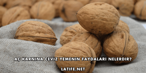 Aç Karnına Ceviz Yemenin Faydaları Nelerdir?