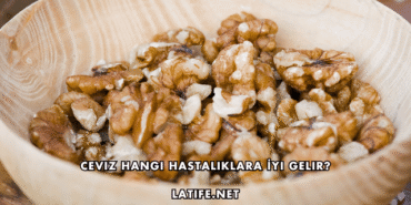 Ceviz Hangi Hastalıklara İyi Gelir?