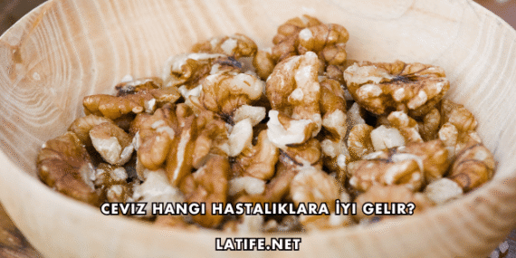 Ceviz Hangi Hastalıklara İyi Gelir?