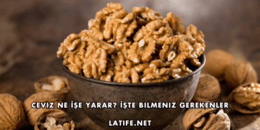 Ceviz Ne İşe Yarar? İşte Bilmeniz Gerekenler