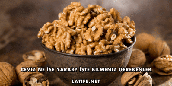 Ceviz Ne İşe Yarar? İşte Bilmeniz Gerekenler
