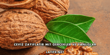 Ceviz Zayıflatır mı? Gerçekler ve Yanlışlar