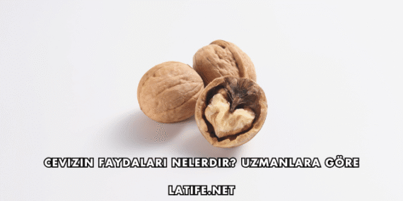 Cevizin Faydaları Nelerdir? Uzmanlara Göre