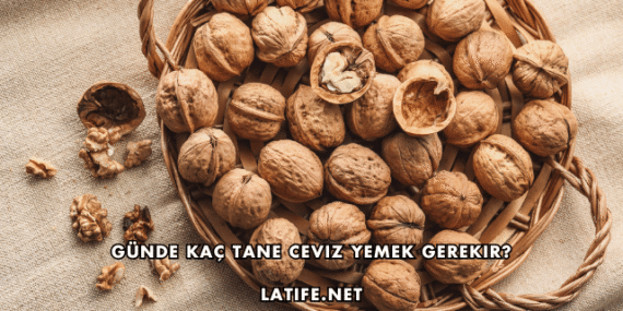 Günde Kaç Tane Ceviz Yemek Gerekir?