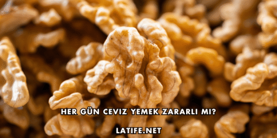 Her Gün Ceviz Yemek Zararlı mı?